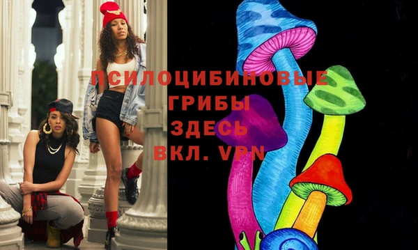 индика Каменск-Шахтинский