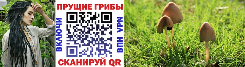 Галлюциногенные грибы мухоморы  Фролово 